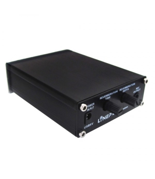 A907 Professional Two-channel Microphone Amplifier Dual Microphone Reverb